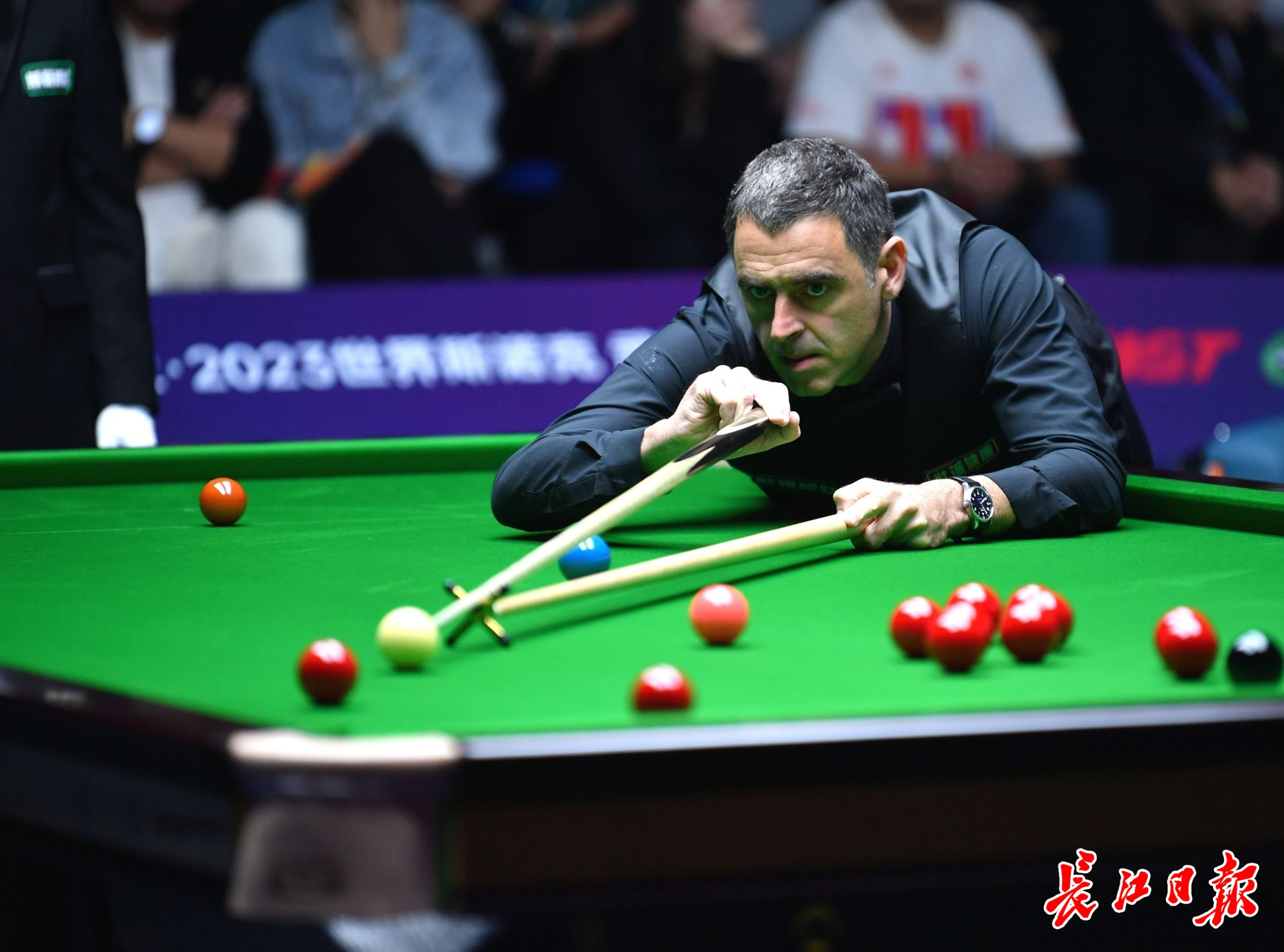 无论是在数 无论是在数