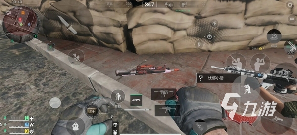 生涯与战队 生涯与战队